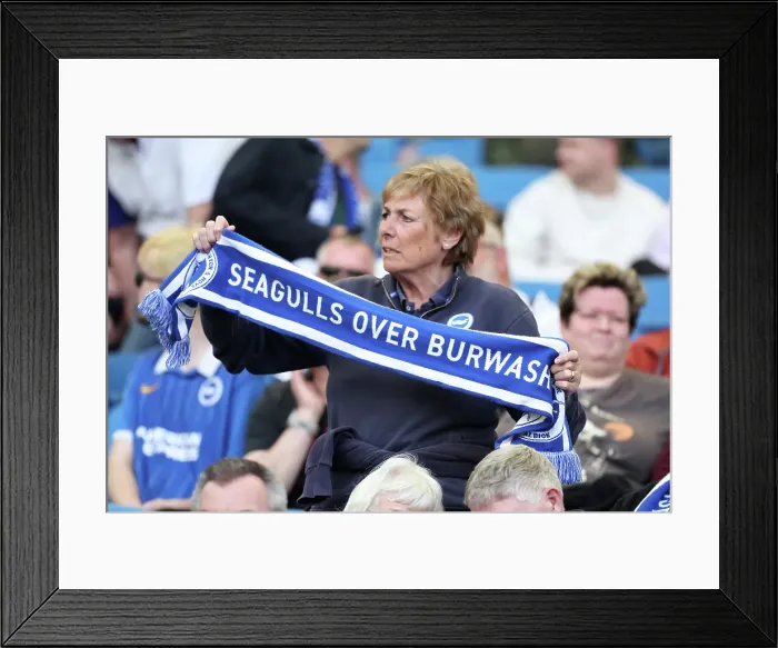 Framed Print : Brighton and Hove Albion v Leicester City Premier League 12APR25 Framed Print : Brighton and Hove Albion v Leicester City Premier League 12APR25
