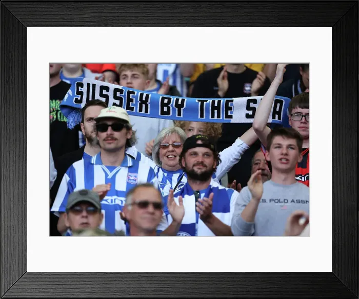 Framed Print : Brighton and Hove Albion v Leicester City Premier League 12APR25 Framed Print : Brighton and Hove Albion v Leicester City Premier League 12APR25