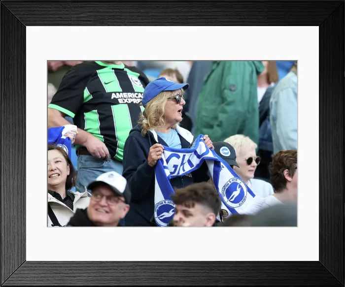 Framed Print : Brighton and Hove Albion v Leicester City Premier League 12APR25 Framed Print : Brighton and Hove Albion v Leicester City Premier League 12APR25