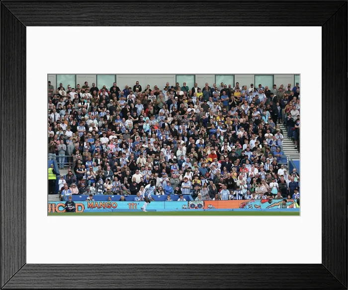 Framed Print : Brighton and Hove Albion v Leicester City Premier League 12APR25 Framed Print : Brighton and Hove Albion v Leicester City Premier League 12APR25
