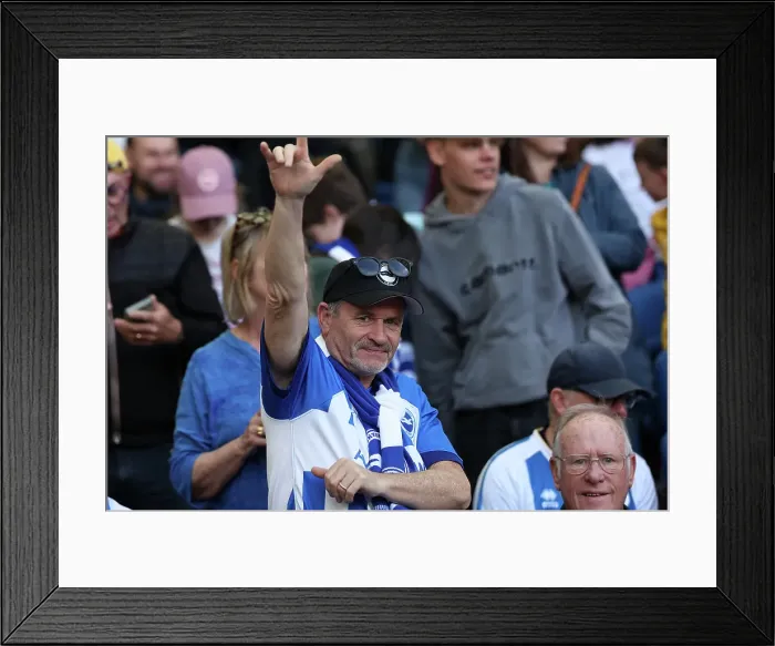 Framed Print : Brighton and Hove Albion v Leicester City Premier League 12APR25 Framed Print : Brighton and Hove Albion v Leicester City Premier League 12APR25