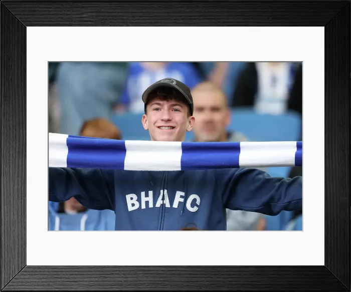 Framed Print : Brighton and Hove Albion v Leicester City Premier League 12APR25 Framed Print : Brighton and Hove Albion v Leicester City Premier League 12APR25