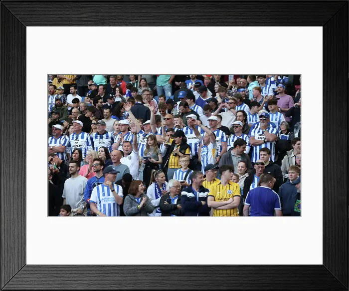 Framed Print : Brighton and Hove Albion v Leicester City Premier League 12APR25 Framed Print : Brighton and Hove Albion v Leicester City Premier League 12APR25