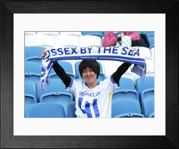 Framed Print : Brighton and Hove Albion v Leicester City Premier League 12APR25 Framed Print : Brighton and Hove Albion v Leicester City Premier League 12APR25