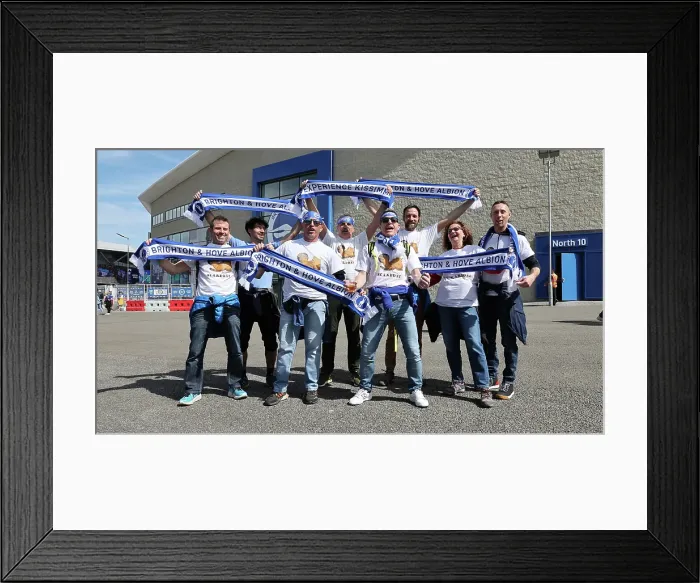 Framed Print : Brighton and Hove Albion v Leicester City Premier League 12APR25
