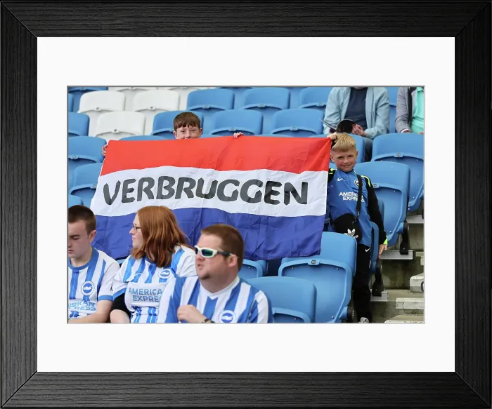 Framed Print : Brighton and Hove Albion v Leicester City Premier League 12APR25