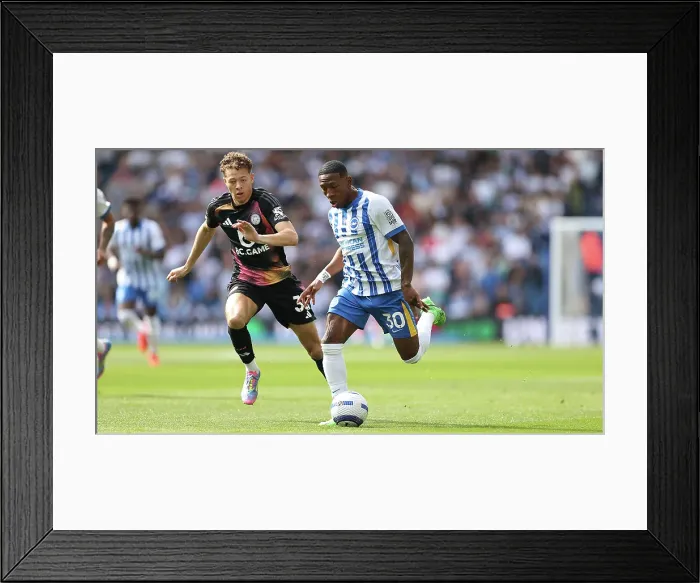 Framed Print : Brighton and Hove Albion v Leicester City Premier League 12APR25