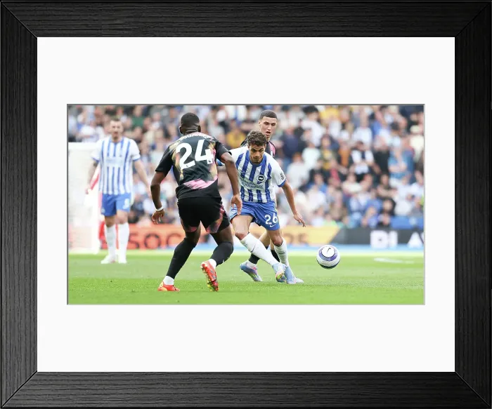 Framed Print : Brighton and Hove Albion v Leicester City Premier League 12APR25