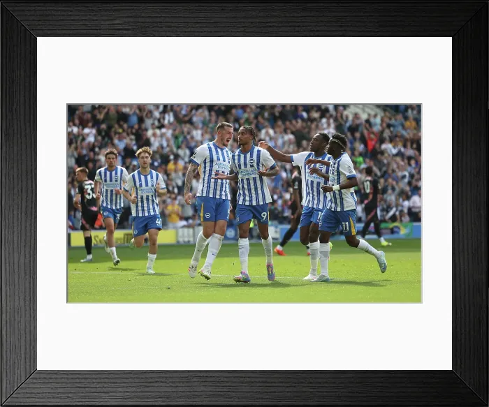 Framed Print : Brighton and Hove Albion v Leicester City Premier League 12APR25 Framed Print : Brighton and Hove Albion v Leicester City Premier League 12APR25