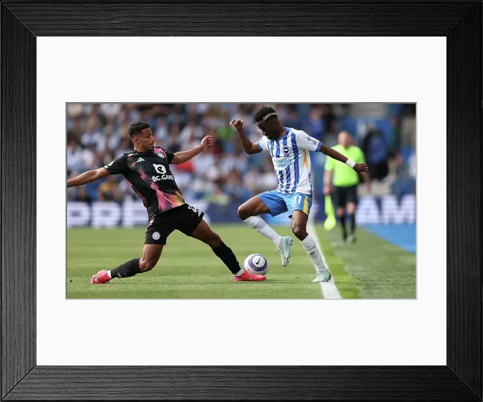 Framed Print : Brighton and Hove Albion v Leicester City Premier League 12APR25