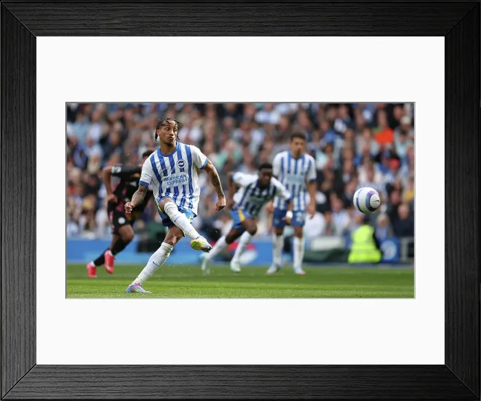 Framed Print : Brighton and Hove Albion v Leicester City Premier League 12APR25 Framed Print : Brighton and Hove Albion v Leicester City Premier League 12APR25