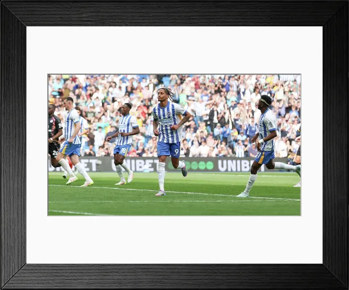 Framed Print : Brighton and Hove Albion v Leicester City Premier League 12APR25 Framed Print : Brighton and Hove Albion v Leicester City Premier League 12APR25