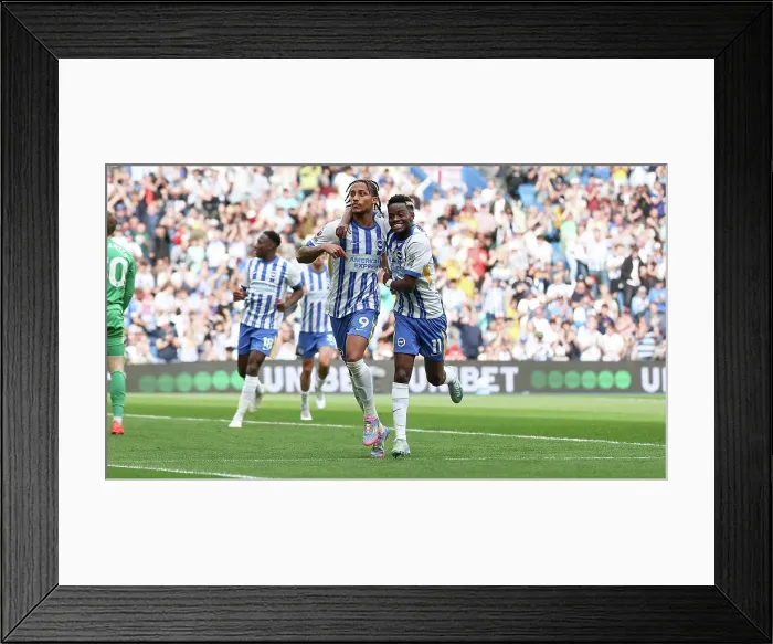 Framed Print : Brighton and Hove Albion v Leicester City Premier League 12APR25 Framed Print : Brighton and Hove Albion v Leicester City Premier League 12APR25