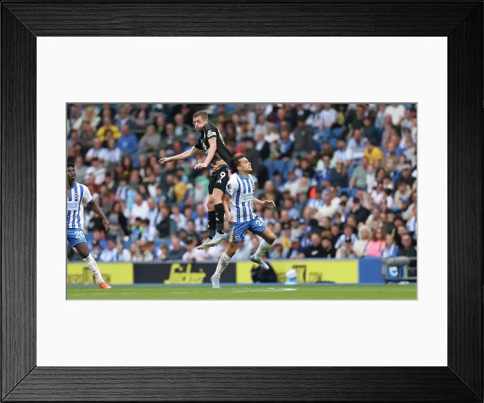 Framed Print : Brighton and Hove Albion v Leicester City Premier League 12APR25 Framed Print : Brighton and Hove Albion v Leicester City Premier League 12APR25