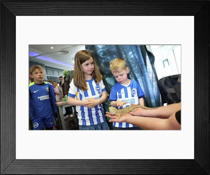 Framed Print : Open training session American Express Stadium 15APR25