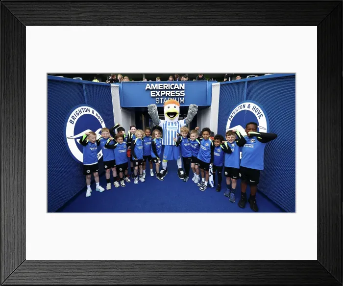 Framed Print : Open training session American Express Stadium 15APR25 Framed Print : Open training session American Express Stadium 15APR25