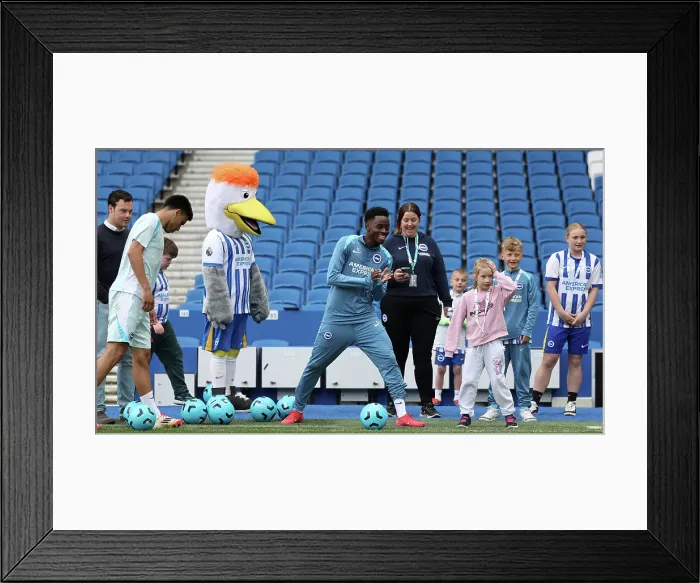Framed Print : Open training session American Express Stadium 15APR25 Framed Print : Open training session American Express Stadium 15APR25
