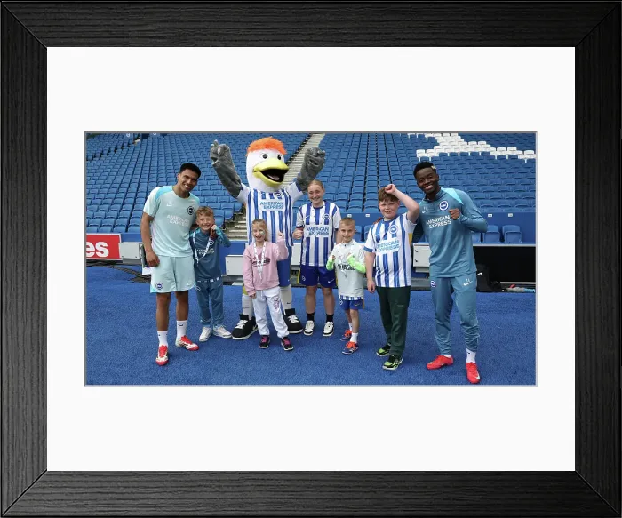 Framed Print : Open training session American Express Stadium 15APR25 Framed Print : Open training session American Express Stadium 15APR25