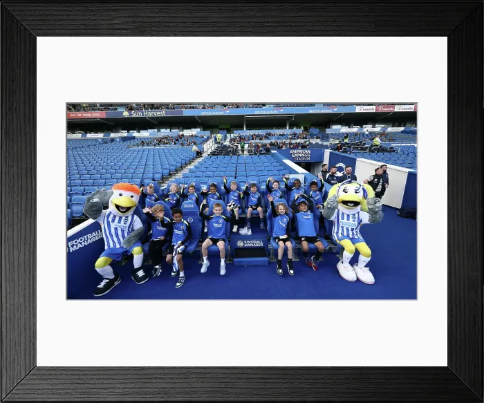 Framed Print : Open training session American Express Stadium 15APR25 Framed Print : Open training session American Express Stadium 15APR25
