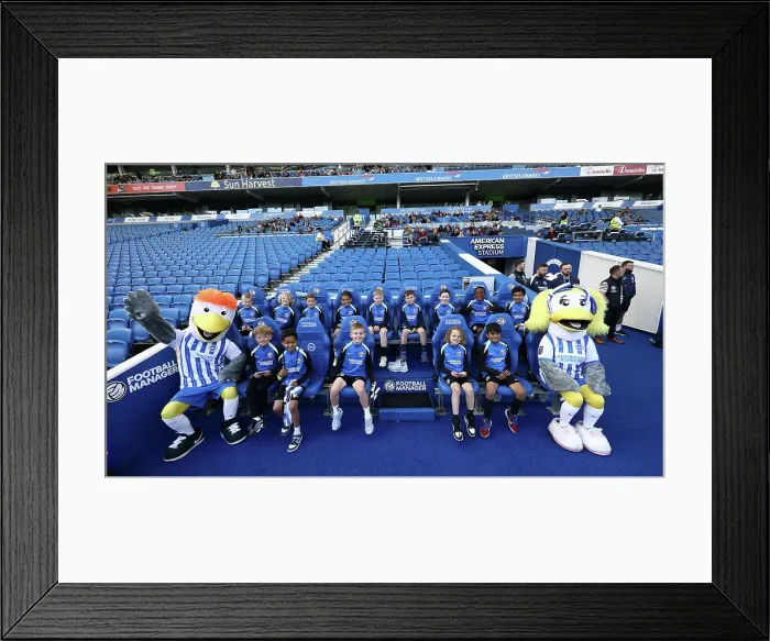 Framed Print : Open training session American Express Stadium 15APR25 Framed Print : Open training session American Express Stadium 15APR25