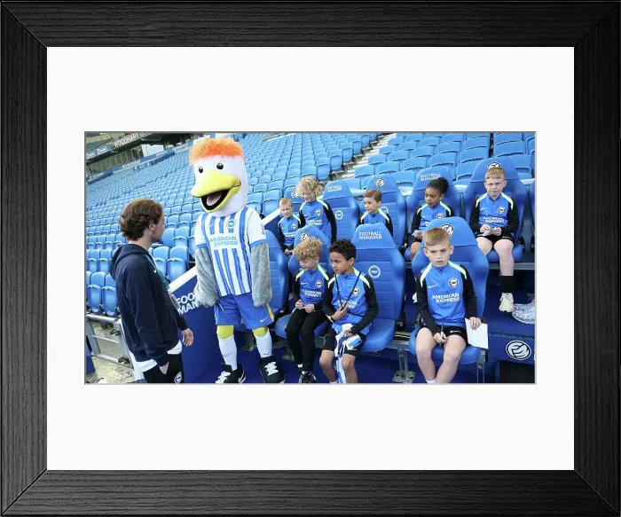 Framed Print : Open training session American Express Stadium 15APR25