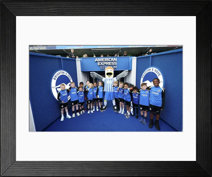 Framed Print : Open training session American Express Stadium 15APR25 Framed Print : Open training session American Express Stadium 15APR25