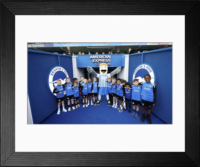 Framed Print : Open training session American Express Stadium 15APR25 Framed Print : Open training session American Express Stadium 15APR25