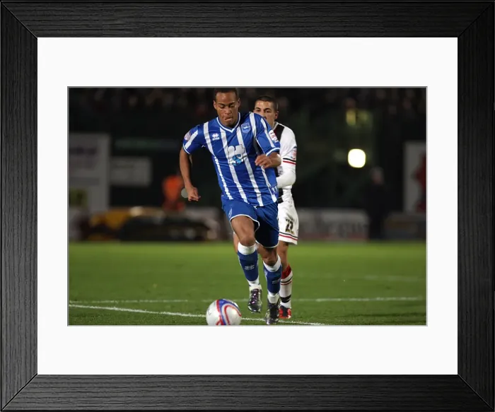 Framed Print : Brighton & Hove Albion: 2010-11 Season - Home Match against Exeter City Framed Print : Brighton & Hove Albion: 2010-11 Season - Home Match against Exeter City