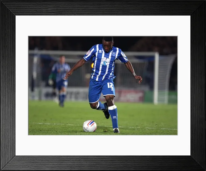 Framed Print : Brighton & Hove Albion 2010-11 Home Season: Exeter City Match Framed Print : Brighton & Hove Albion 2010-11 Home Season: Exeter City Match