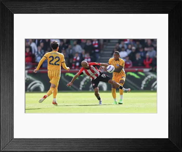 Framed Print : Brentford v Brighton and Hove Albion Premier League 19APR25 Framed Print : Brentford v Brighton and Hove Albion Premier League 19APR25