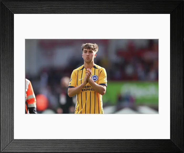 Framed Print : Brentford v Brighton and Hove Albion Premier League 19APR25