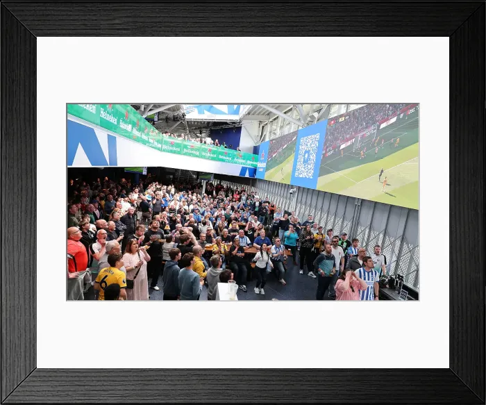 Framed Print : Brentford v Brighton and Hove Albion Premier League 19APR25 Framed Print : Brentford v Brighton and Hove Albion Premier League 19APR25