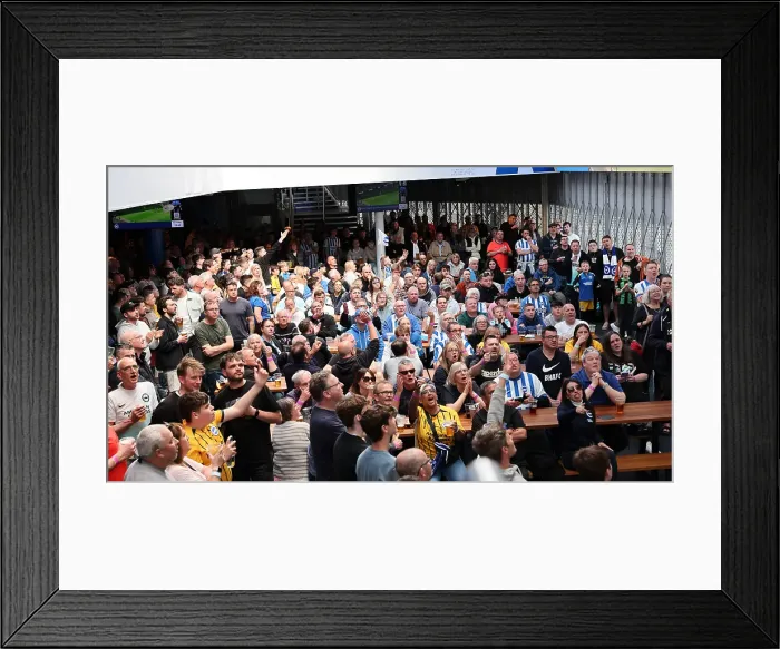 Framed Print : Brentford v Brighton and Hove Albion Premier League 19APR25