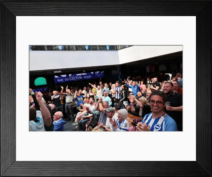 Framed Print : Brentford v Brighton and Hove Albion Premier League 19APR25