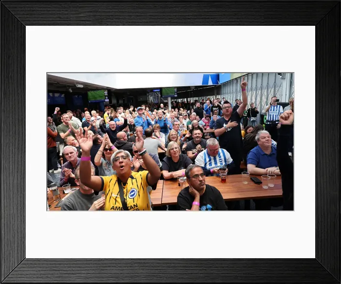 Framed Print : Brentford v Brighton and Hove Albion Premier League 19APR25