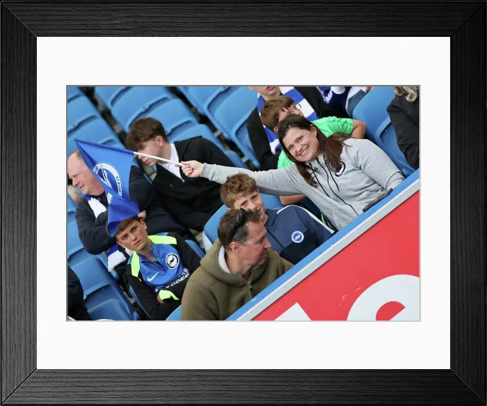 Framed Print : Brighton and Hove Albion v West Ham United Premier League 26APR25