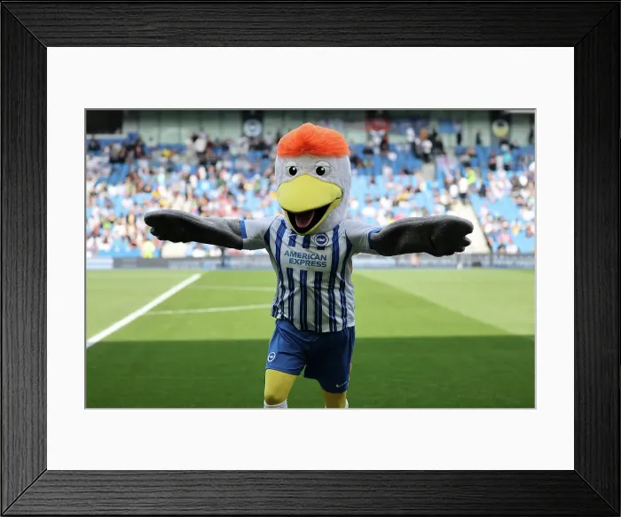 Framed Print : Brighton and Hove Albion v West Ham United Premier League 26APR25