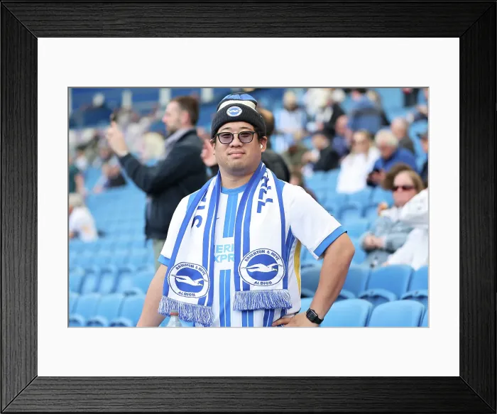 Framed Print : Brighton and Hove Albion v West Ham United Premier League 26APR25
