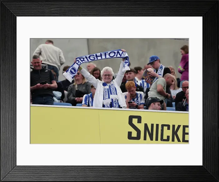 Framed Print : Brighton and Hove Albion v West Ham United Premier League 26APR25