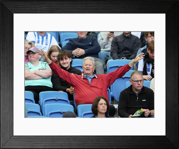 Framed Print : Brighton and Hove Albion v West Ham United Premier League 26APR25