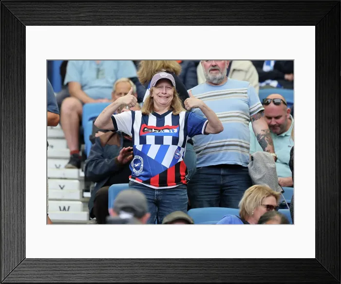 Framed Print : Brighton and Hove Albion v West Ham United Premier League 26APR25