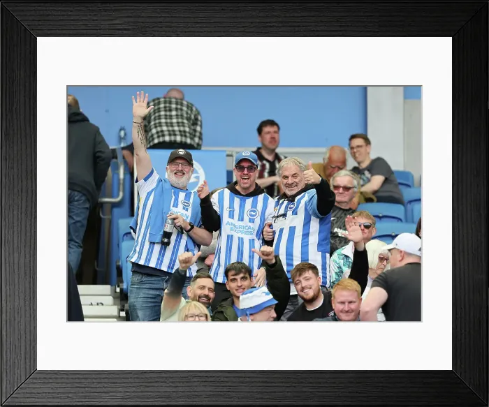 Framed Print : Brighton and Hove Albion v West Ham United Premier League 26APR25