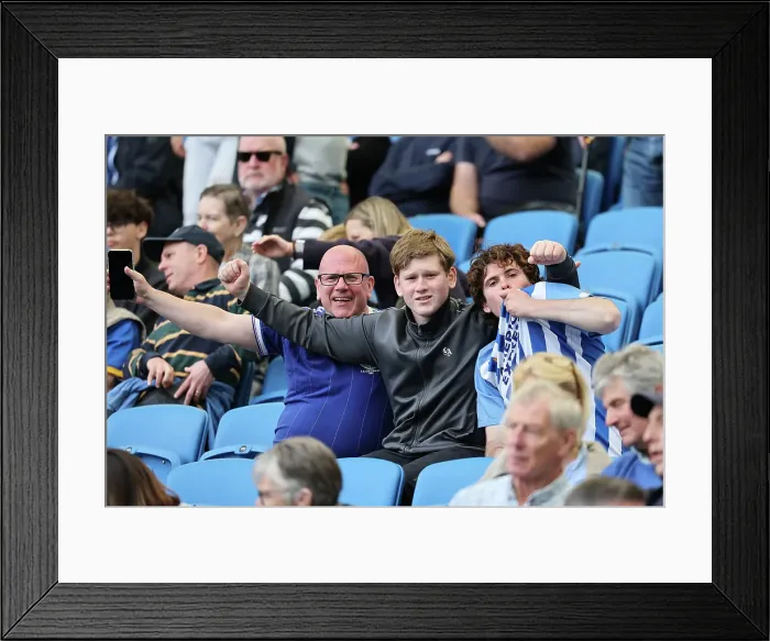 Framed Print : Brighton and Hove Albion v West Ham United Premier League 26APR25