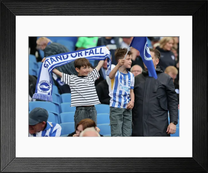 Framed Print : Brighton and Hove Albion v West Ham United Premier League 26APR25