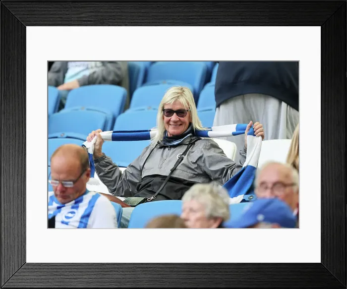 Framed Print : Brighton and Hove Albion v West Ham United Premier League 26APR25