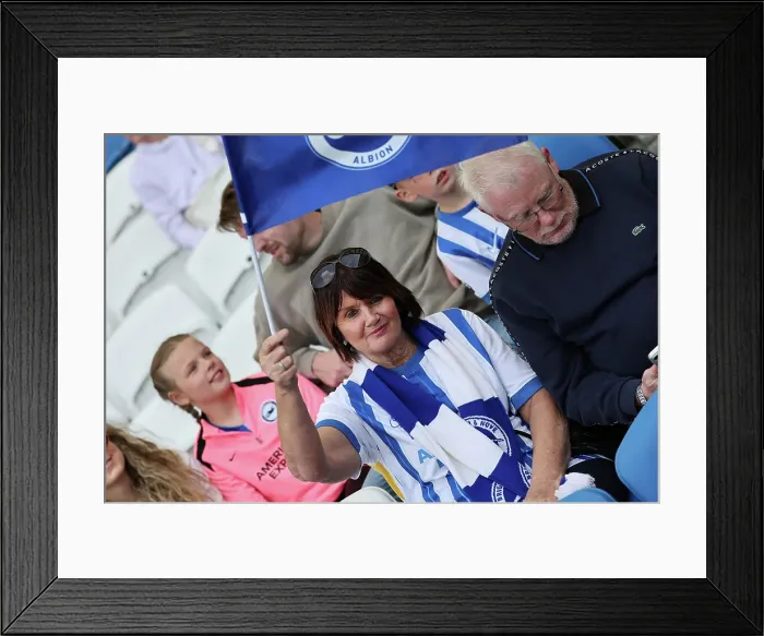 Framed Print : Brighton and Hove Albion v West Ham United Premier League 26APR25