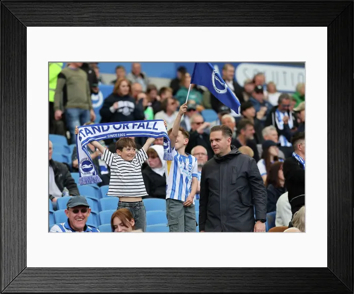 Framed Print : Brighton and Hove Albion v West Ham United Premier League 26APR25