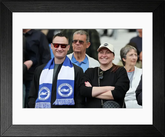 Framed Print : Brighton and Hove Albion v West Ham United Premier League 26APR25