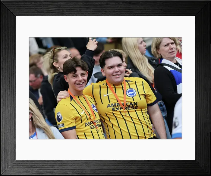 Framed Print : Brighton and Hove Albion v West Ham United Premier League 26APR25