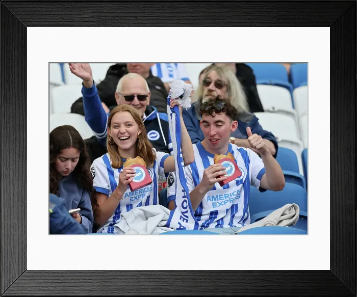 Framed Print : Brighton and Hove Albion v West Ham United Premier League 26APR25